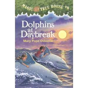 Dolphins at Daybreak imagine