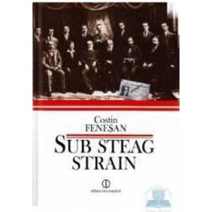 Sub steag strain - Costin Fenesan imagine