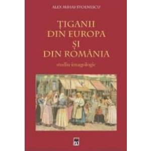 Tiganii Din Europa Si Din Romania - Alex Mihai Stoenescu imagine