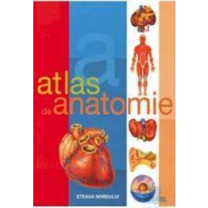 Atlas de anatomie imagine