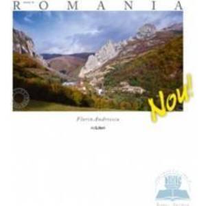 Made in Romania - Lb. Spaniola - Florin Andreescu imagine