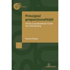 Principiul proportionalitatii - Teodor Papuc imagine