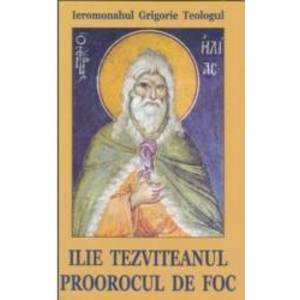 Ilie Tezviteanul proorocul de foc - Grigorie Teologul imagine