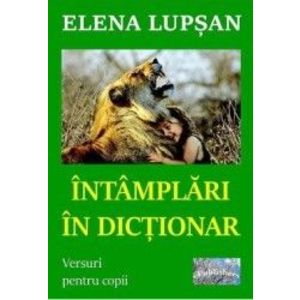 Intamplari in dictionar - Elena Lupsan imagine