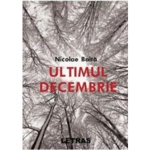 Ultimul decembrie- Nicolae Balta imagine