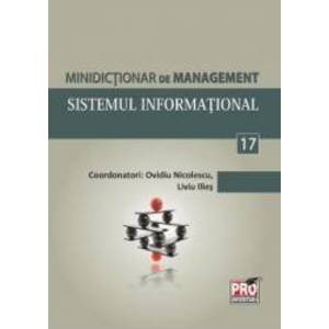 Minidictionar De Management 17 Sistemul Informational - Ovidiu Nicolescu imagine