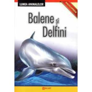 Lumea animalelor - Balene si delfini imagine