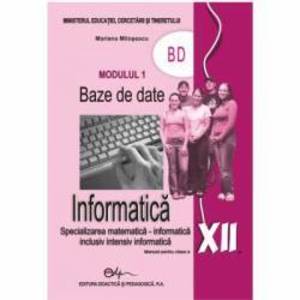 Informatica. Manual pentru clasa a XII-a modulul 1 BD M1 imagine
