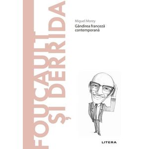 Foucault si Derrida. Volumul 26. Descopera Filosofia imagine