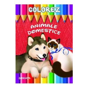 Colorez: Animale domestice imagine