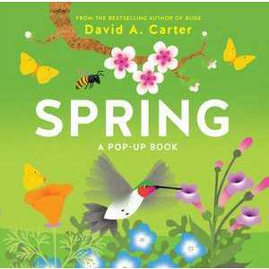 Spring : A Pop-up Book imagine