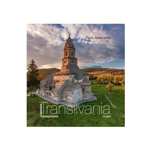 Transilvania - Florin Andreescu imagine