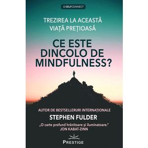 Ce este dincolo de Mindfulness? | Stephen Fulder imagine