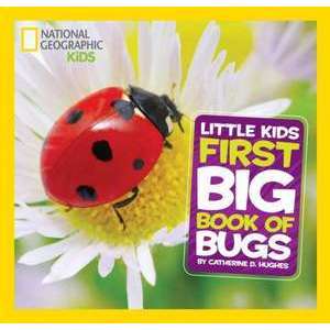 Little Kids First Big Book of Bugs imagine