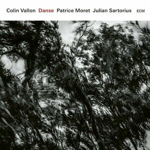 Danse | Colin Vallon Trio imagine