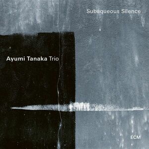 Subaqueous Silence | Ayumi Tanaka, Christian Meaas Svendsen, Per Oddvar Johansen imagine