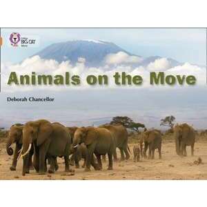 Animals on the Move imagine