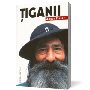 Tiganii imagine