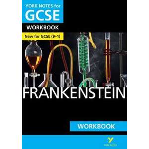 Frankenstein: York Notes for GCSE (9-1) Workbook imagine