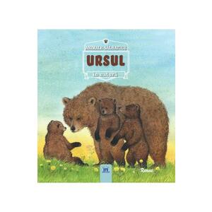Animale salbatice in natura - Ursul imagine