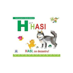 H de la Hasi (cartonat) imagine