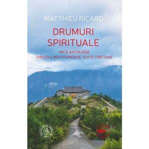 Drumuri spirituale - Matthieu Ricard imagine