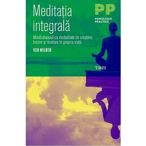 Meditatia integrala - Ken Wilber imagine