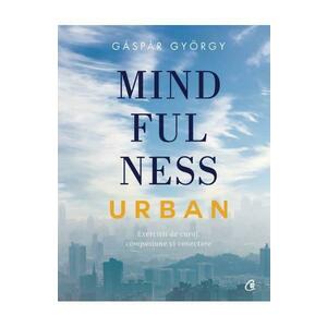 Mindfulness urban - Gaspar Gyorgy imagine