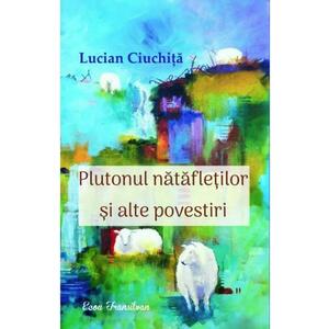 Plutonul natafletilor si alte povestiri - Lucian Ciuchita imagine