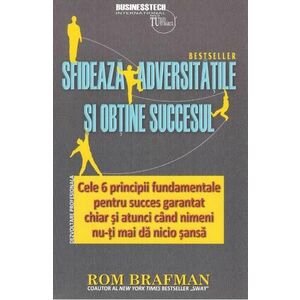 Sfideaza adversitatile si obtine succesul - Rom Brafman imagine