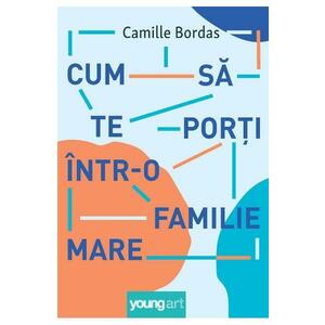 Cum sa te porti intr-o familie mare - Camille Bordas imagine