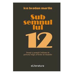 Sub semnul lui 12 - Ion Bogdan Martin imagine