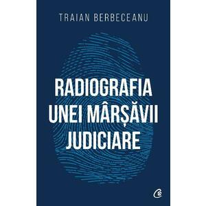 Radiografia unei marsavii judiciare - Traian Berbeceanu imagine