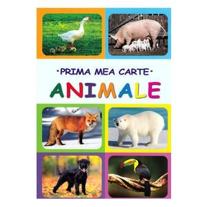 Prima mea carte: Animale imagine