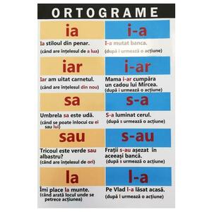 Ortograme imagine