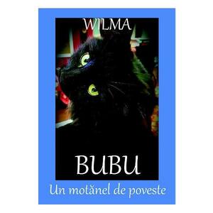 Bubu, un motanel de poveste - Wilma imagine