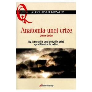 Anatomia unei crize - Alexandru Buzalic imagine