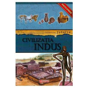 Colectia Istorie: Civilizatia Indus imagine