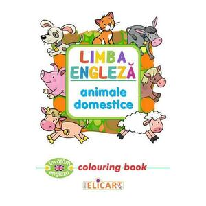 Limba engleza: Animale domestice (Colouring Book) imagine