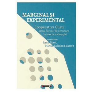 Marginal si experimental - Ionut Butoi, Martin Ladislau Salamon imagine
