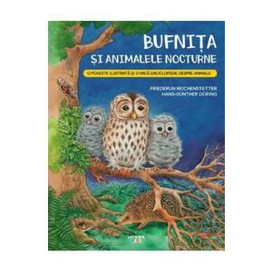 Bufnita si animalele nocturne - Friederun Reichenstetter imagine
