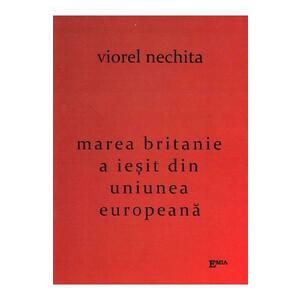 Marea Britanie a iesit din Uniunea Europeana - Viorel Nechita imagine