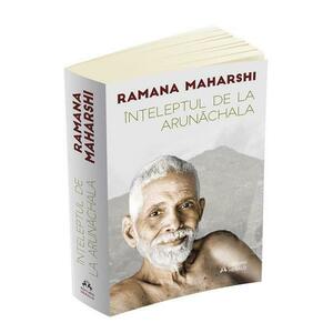 Inteleptul de la Arunachala - Ramana Maharshi imagine