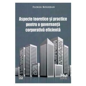 Aspecte teoretice si practice pentru o guvernanta corporativa eficienta - Florin Boghean imagine