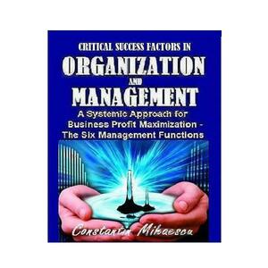 Critical Success Factors In Organization And Management - Constantin Mihaescu imagine