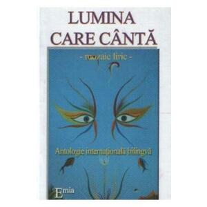 Lumina care canta. The light singing imagine