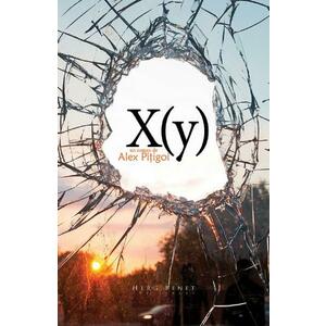 X (y) - Alex Pitigoi imagine