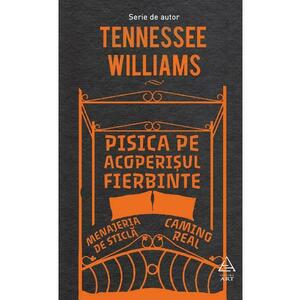 Pisica pe acoperisul fierbinte - Tennessee Williams imagine
