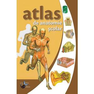 Atlas de anatomie scolar imagine