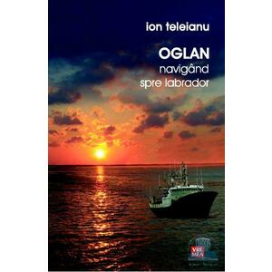 Oglan navigand spre Labrador - Ion Teleianu imagine